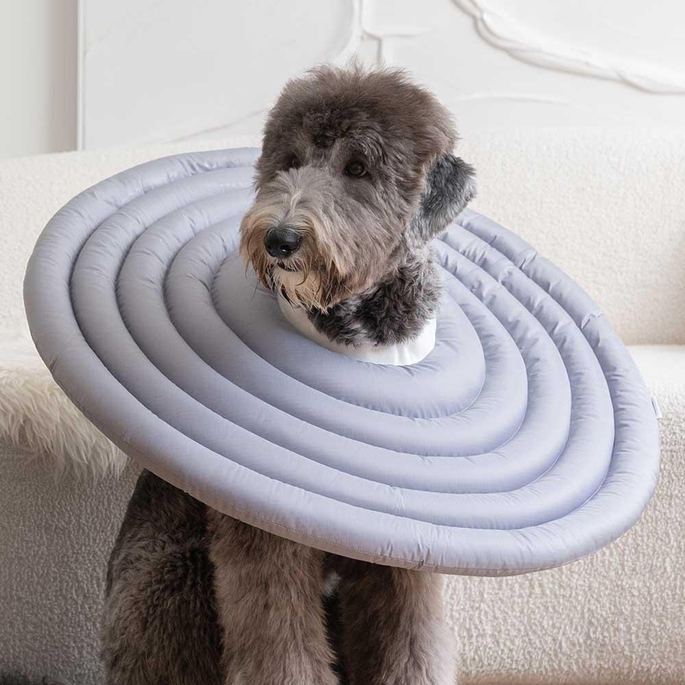 大型犬用 介護カラー 犬用介護カラー エリザベスカラー 首保護具 首カラー 5XL