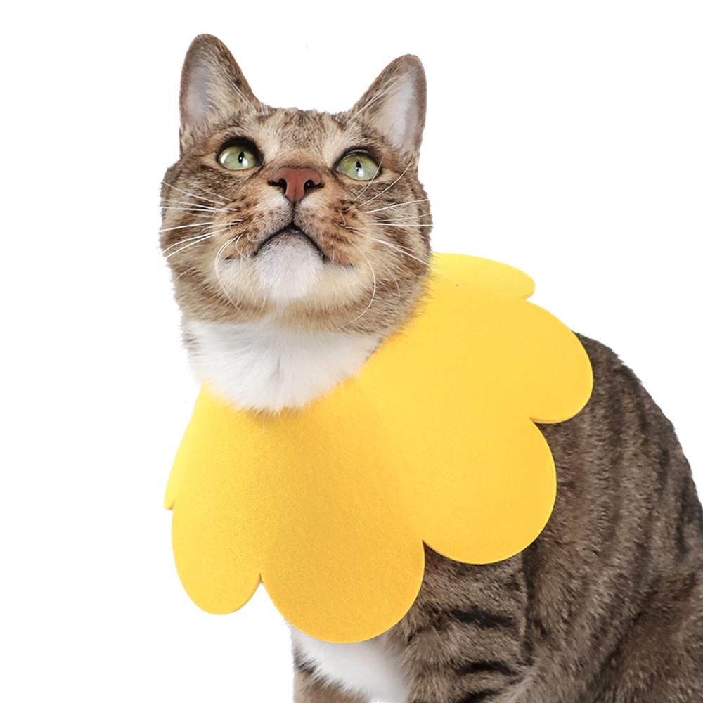 猫 犬用 クッション 介護カラー ペット用 エリザベスカラー 首保護具 Blossom フェルト 介護カラー イエロー XS