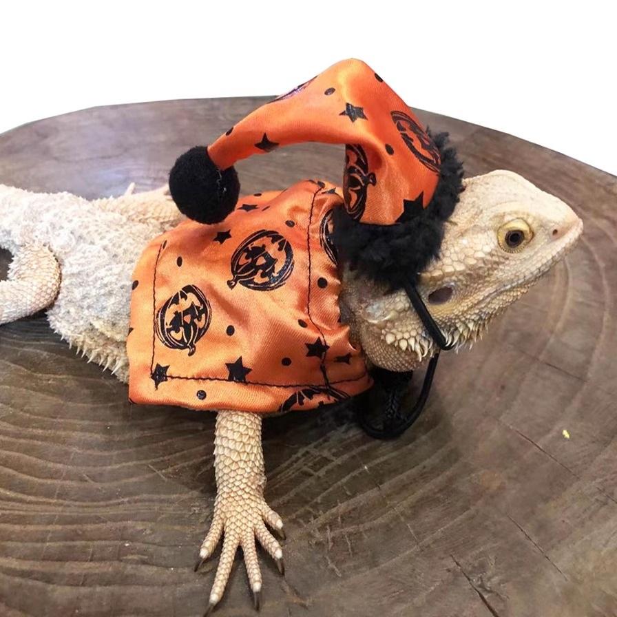 トカゲ用ウェア ハロウィン イモリ ビアディッドドラゴン用 フード付き アパレル コスプレ