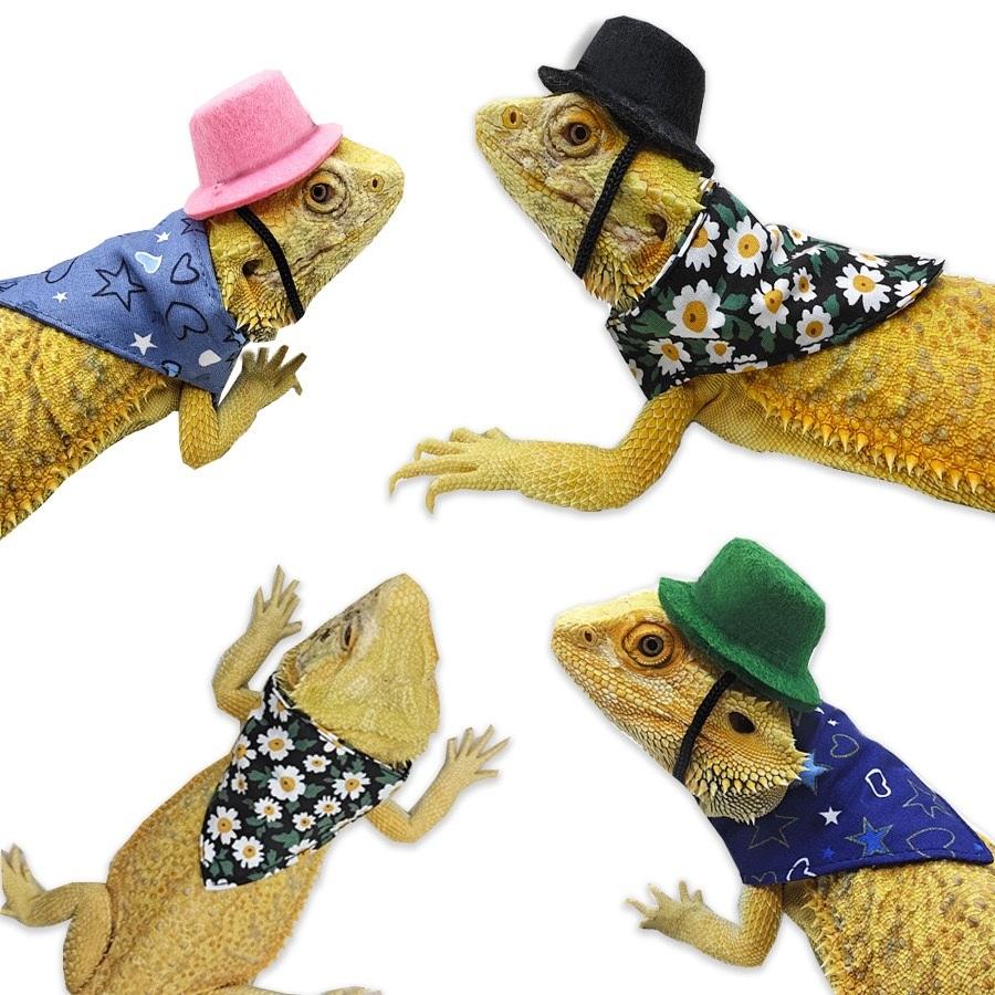 トカゲ用ウェア カメレオン クレステッドゲッコー用ウェア 衣装 ビアディッドドラゴン用 お散歩