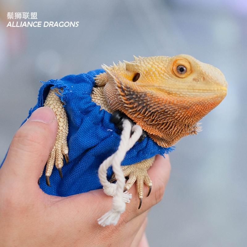 トカゲ用ウェア 衣装 お出かけ用 Tシャツ クレステッドゲッコー用ウェア お散歩用 フード付き