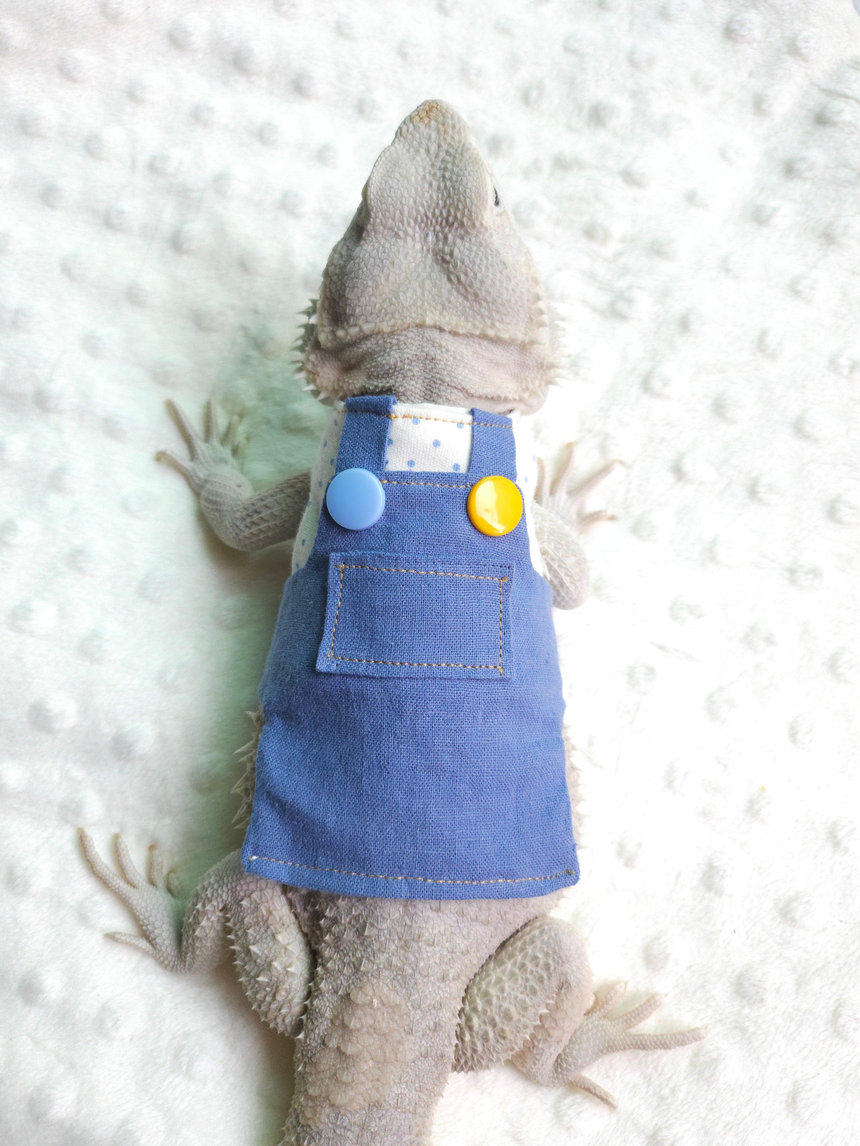 トカゲ用ウェア ペット用品 ビアディッドドラゴン用 カラーオーバーオール