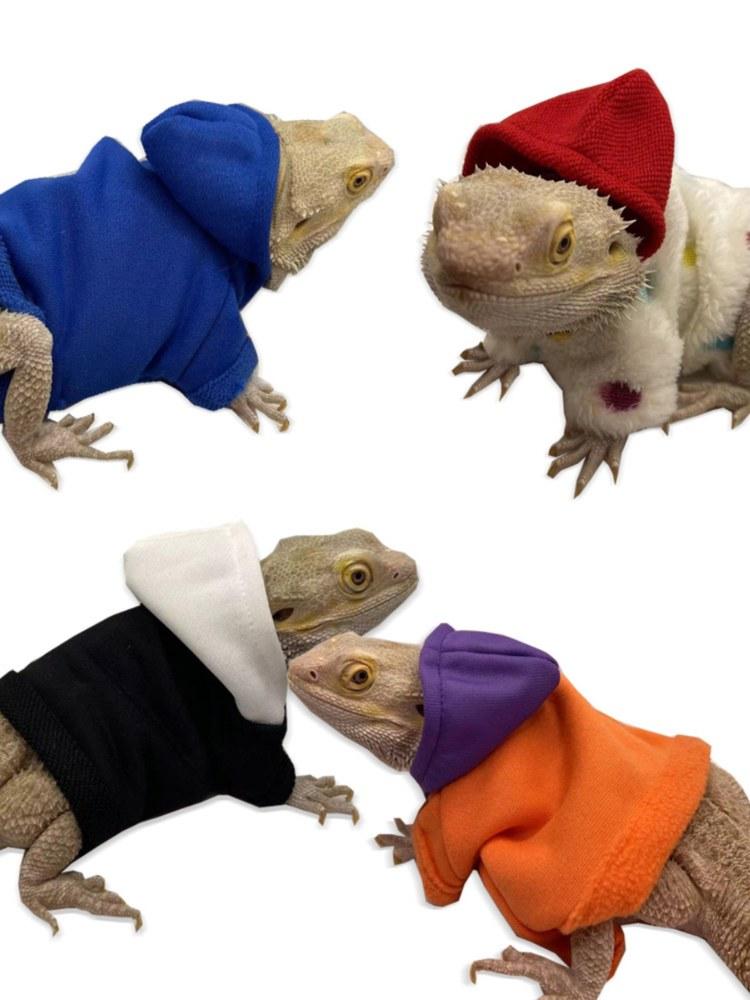 トカゲ服 リアルハンドメイド フード 外出 変身 散歩用品 トレーナー トカゲ イエロー Tシャツ