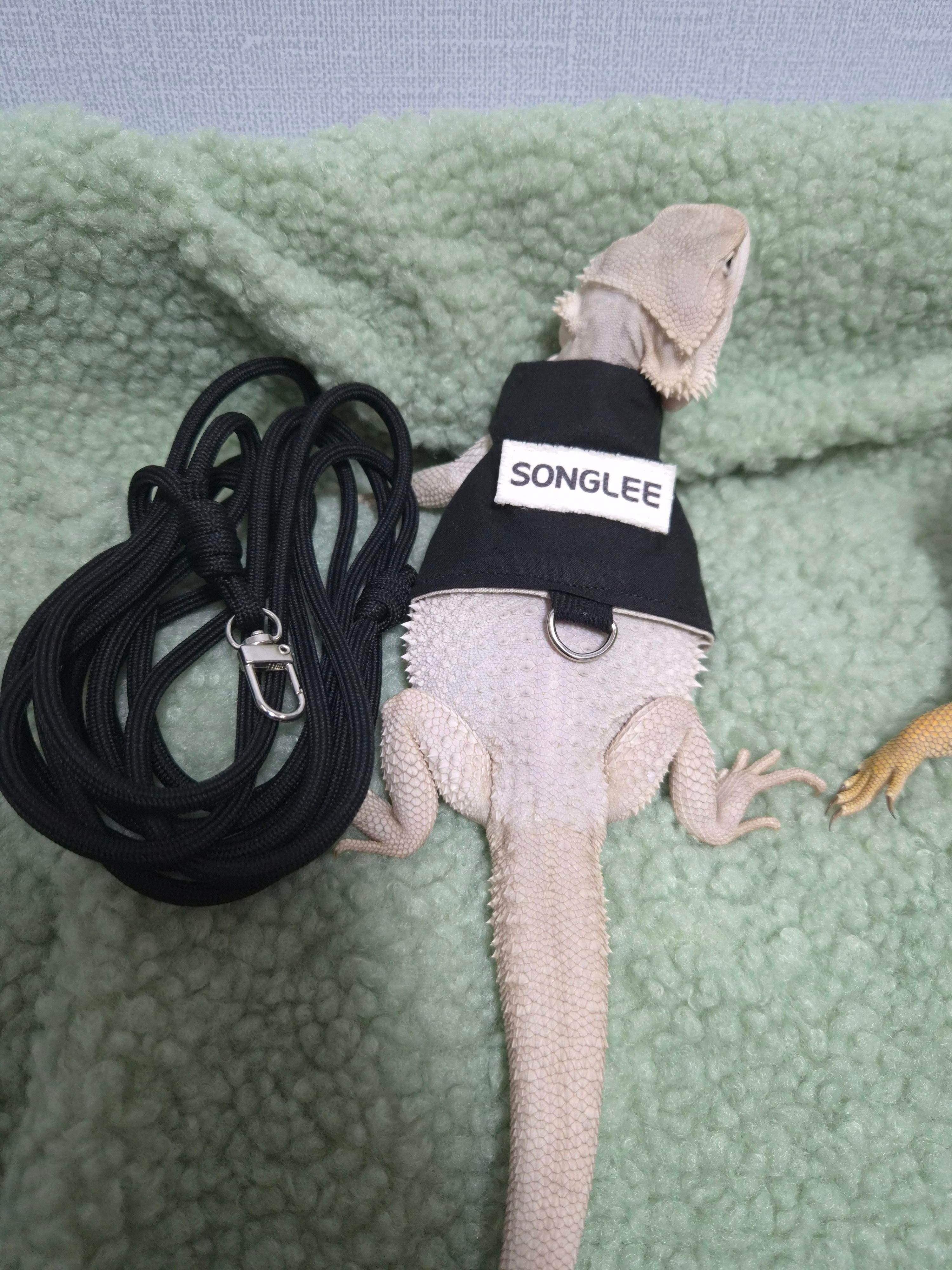 トカゲ ハーネス ネーム ベスト, トカゲ服