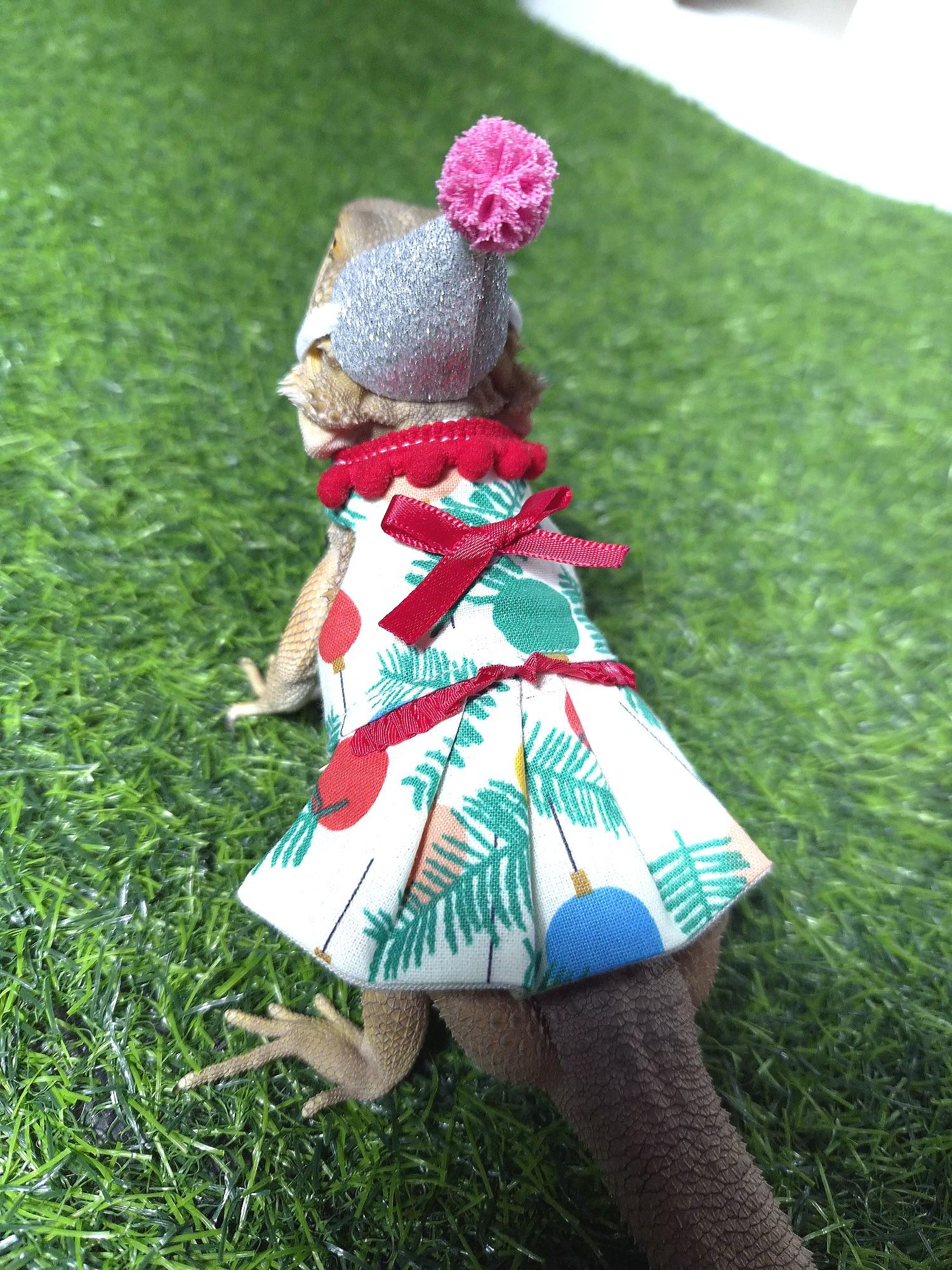 トカゲ服 , コーン/DリングO