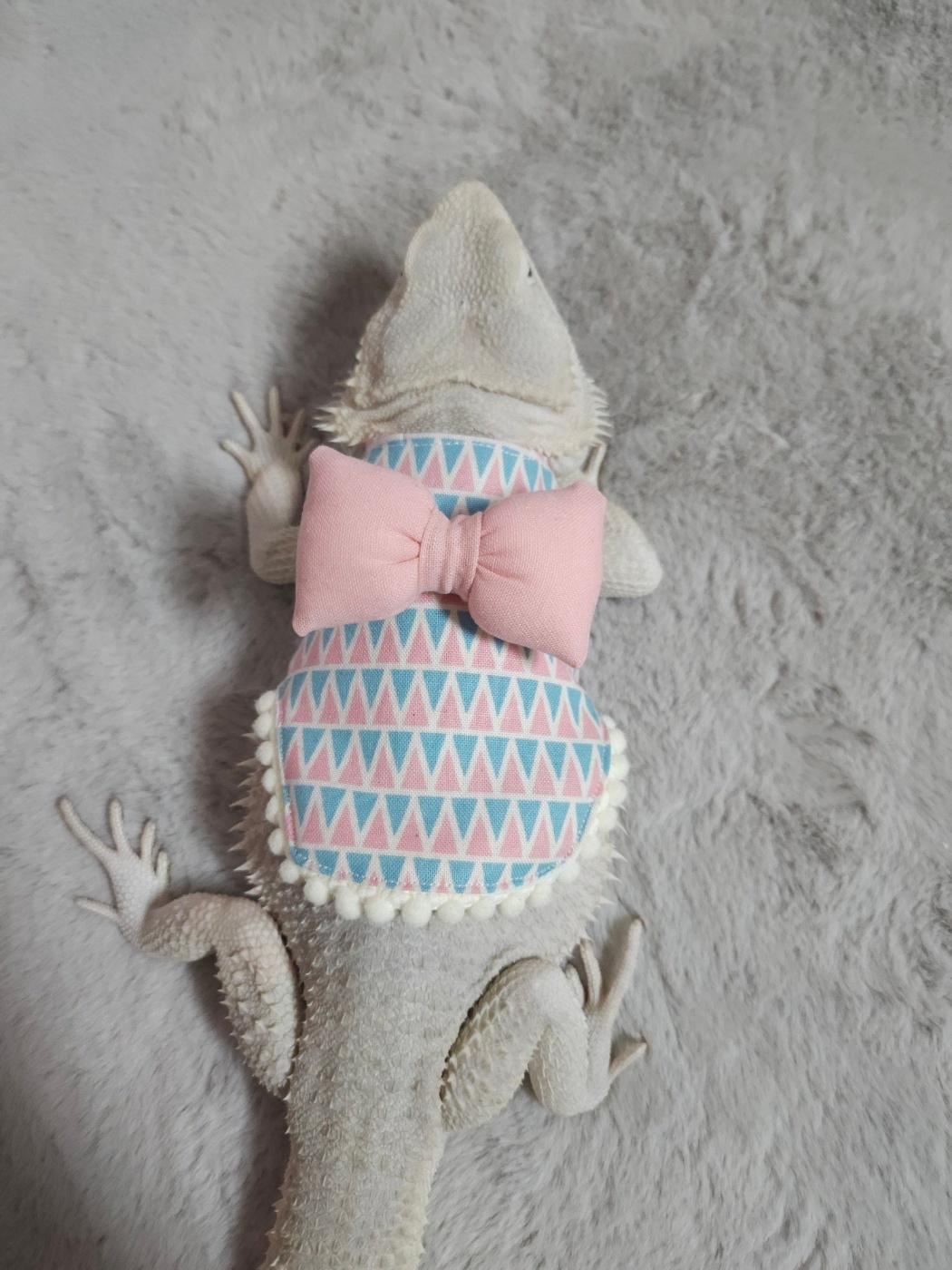 トカゲ服 用品 ビアードドラゴン用 ミニ三角服