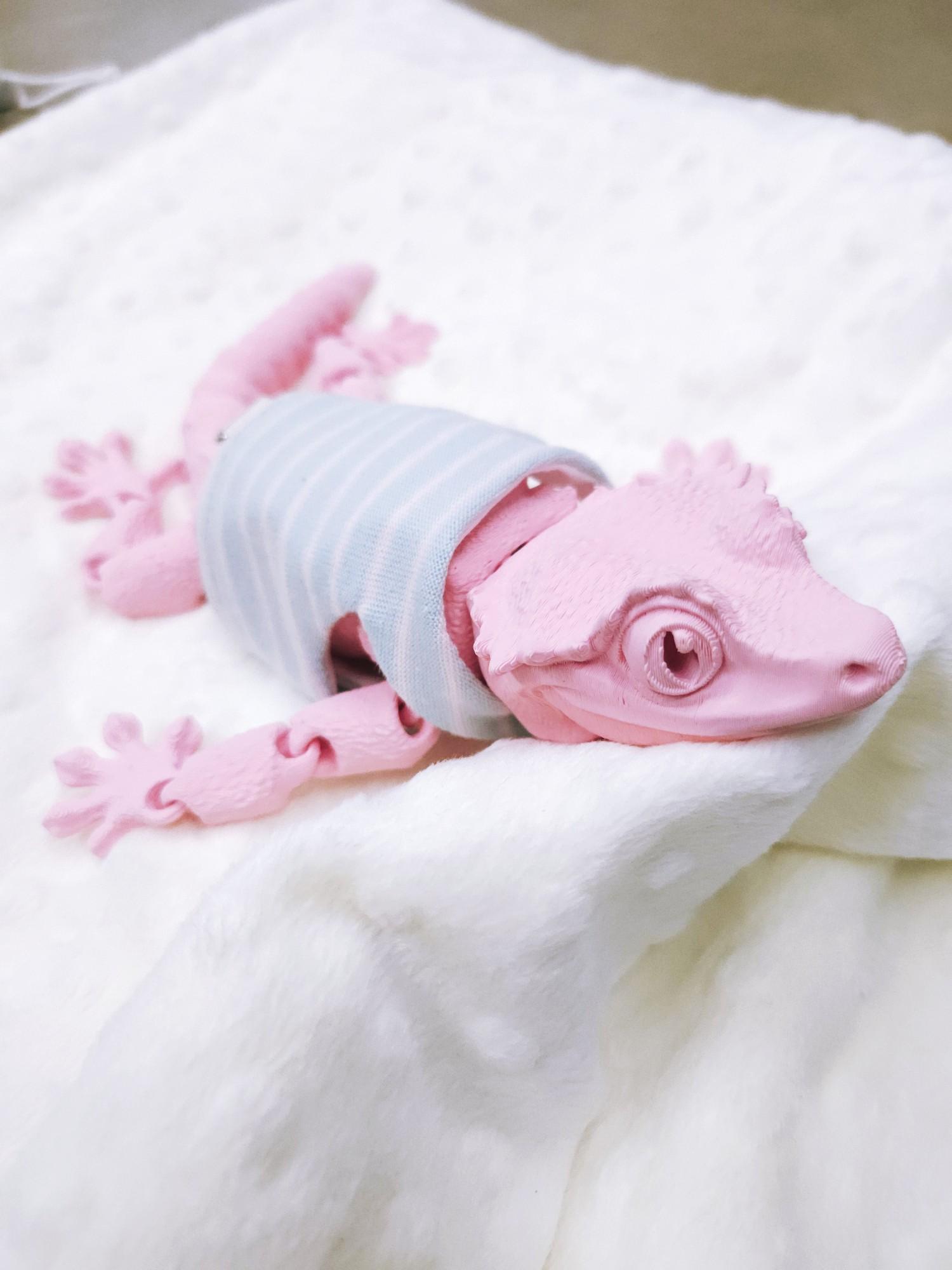 トカゲ服 用品 ビアードドラゴン用 ミントライン クロップT