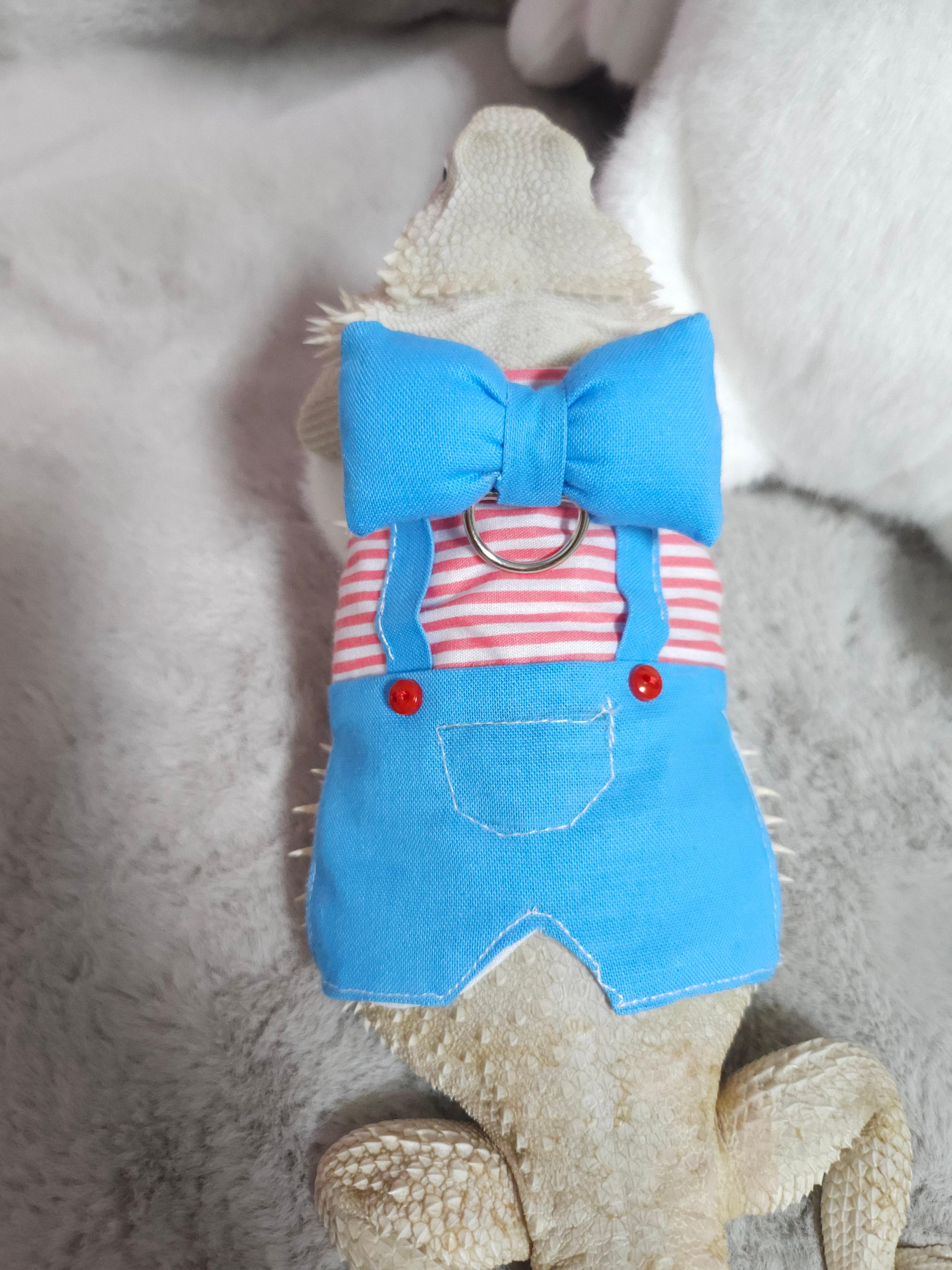 トカゲ服 用品 ビアードドラゴン用 サスペンダー服