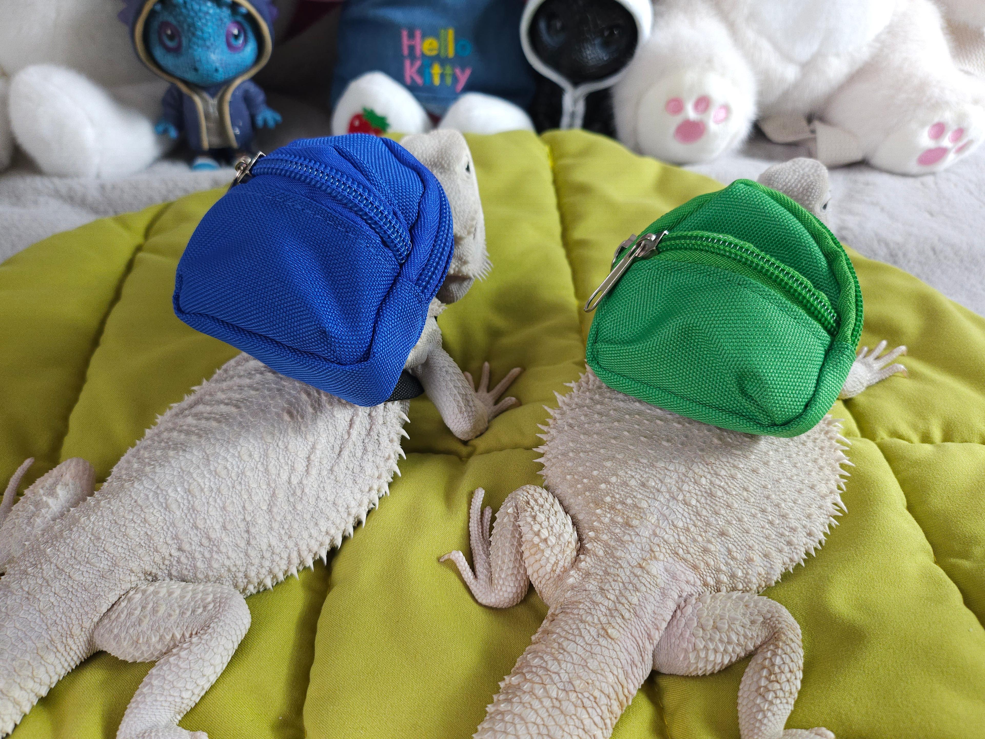 トカゲ服 用品 ビアードドラゴン用 バックパック