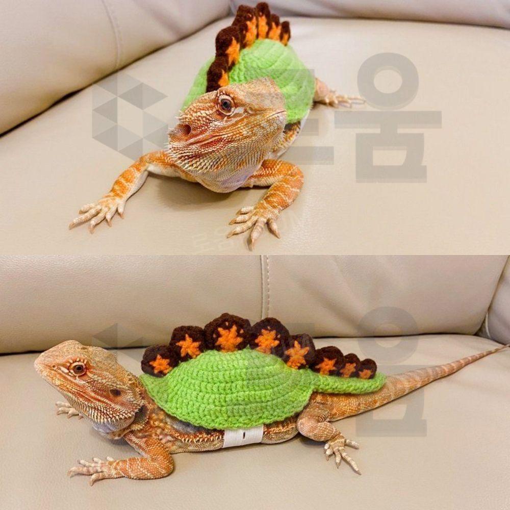 カメレオン トカゲ用ウェア レプタイル ニットウェア ペット 散歩 お出かけ 体温調節用 変身服