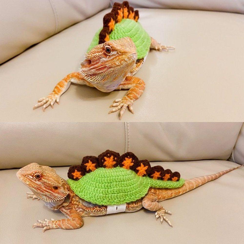 トカゲ用ウェア セーター ベスト 散歩 お出かけ服 ニットウェア カメレオン ハロウィン パンプキン 5-10cm