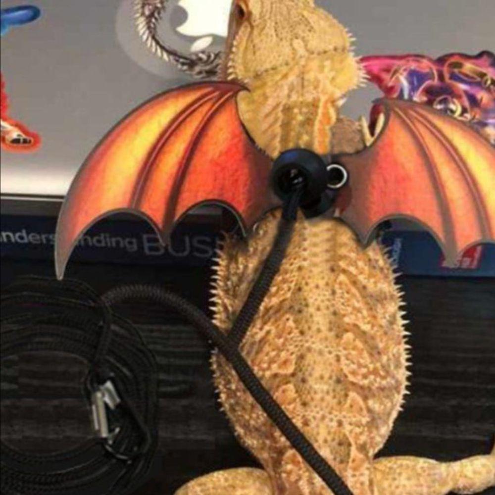 トカゲ用ウェア 散歩用ハーネス お出かけ服 リード アクセサリー 3サイズセット (恐竜デザイン)