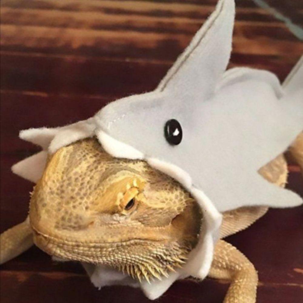 トカゲ用ウェア シャーク Tシャツ フェルトベスト ペット ハロウィン グレー S (15cm)