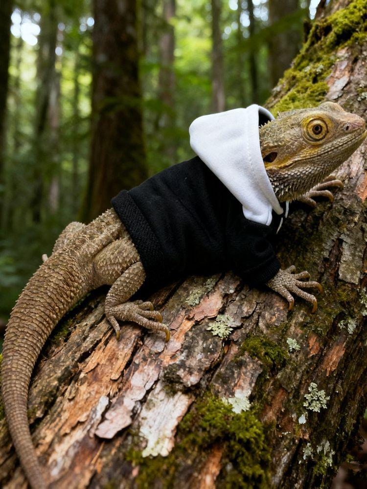 トカゲ用ウェア トレーナー リード パーカー 散歩用品 ハンドメイド 安全 セキュリティ コスチューム+リード