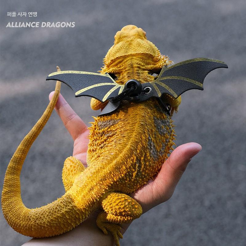 爬虫類トカゲ用革製リード ハーネス コウモリ翼コスチューム クリスマス ハロウィン ファッションウェア ゴールドウィング