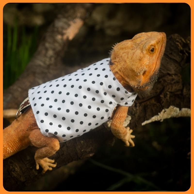 トカゲ用リード リーシュ ハーネス ショルダーハーネス リス 爬虫類ペット用トップス ウェア ベスト タンクトップ A S