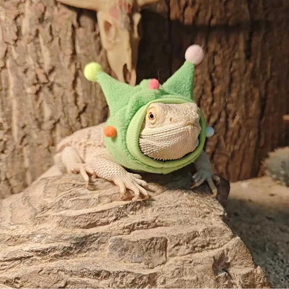 トカゲ用品 トカゲ服 帽子 爬虫類 外出用 角帽子