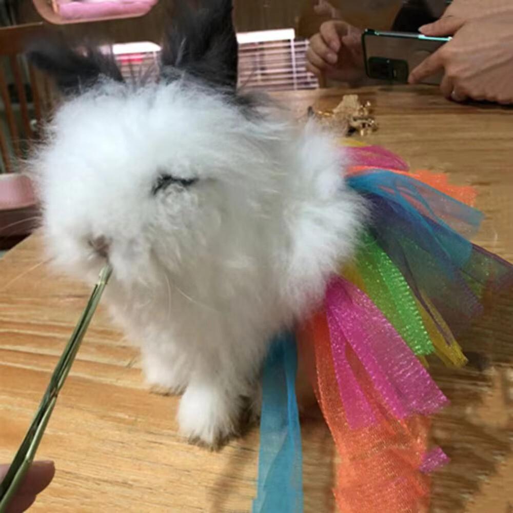 トカゲ服 爬虫類 ペット用コスチューム 変身帽子 ドレス ギフト グッズ コスプレスーツ