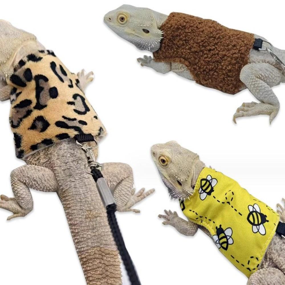 トカゲ デコレーション 冬服 散歩 外出 ハーネス リード 動物病院 爬虫類 昆虫カフェ