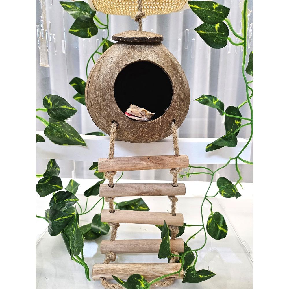 トカゲ シェルター ココナッツ シェルター クレスティッドゲコ 天然 ココナッツ ラダー 爬虫類 飼育ケース レオパード