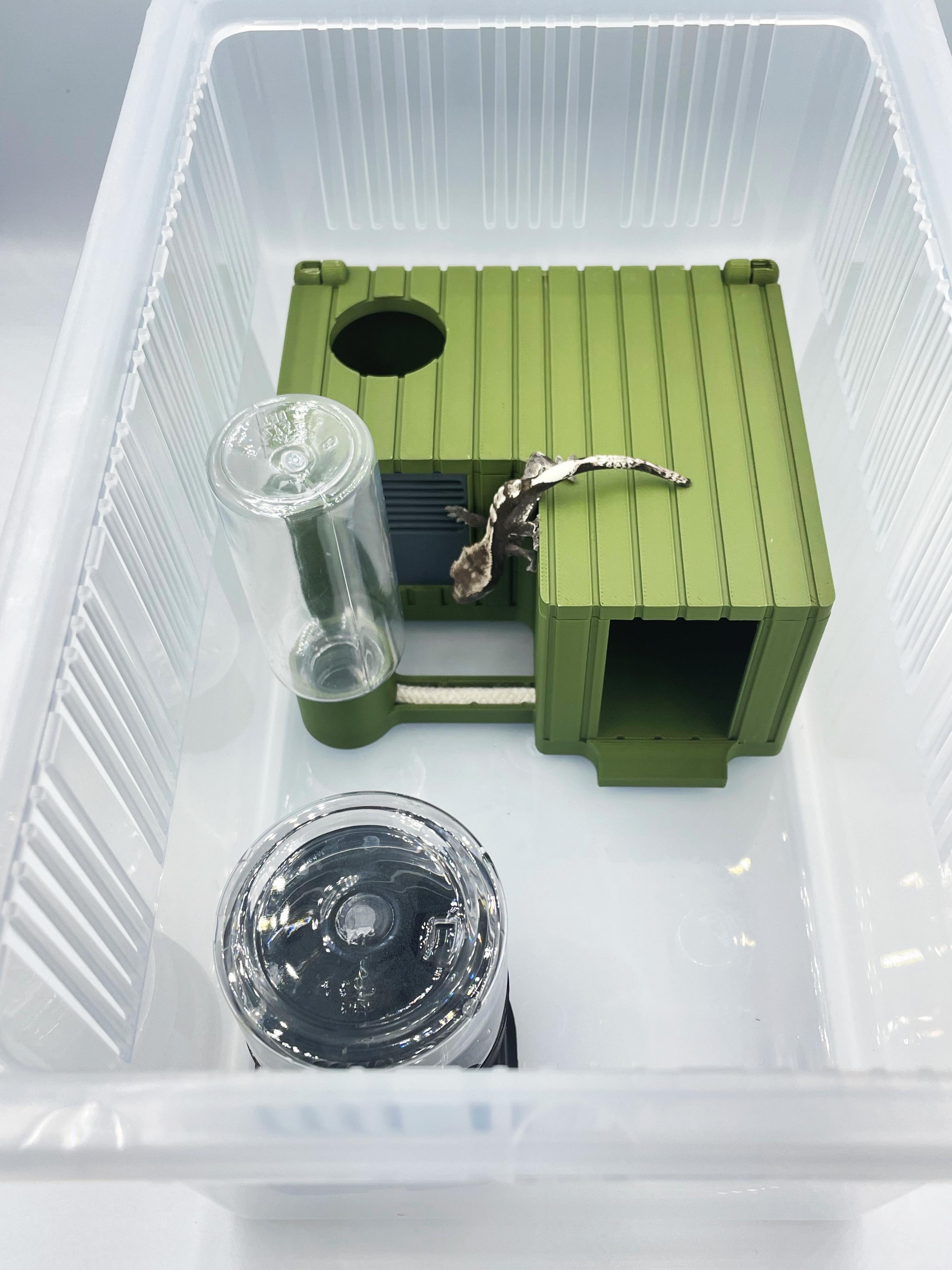 クレスティッドゲコ 飼育ケース クレス 湿潤シェルター トカゲ クレス シェルター セット 小型