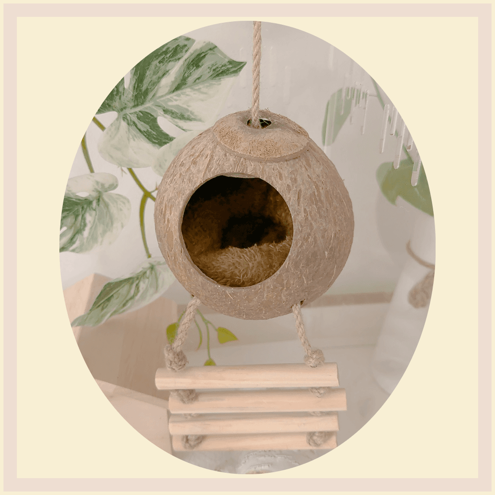 ラダー ココナッツ シェルター 隠れ家 クレス 爬虫類 トカゲシェルター 隠れ家 クレスティッドゲコ トカゲ