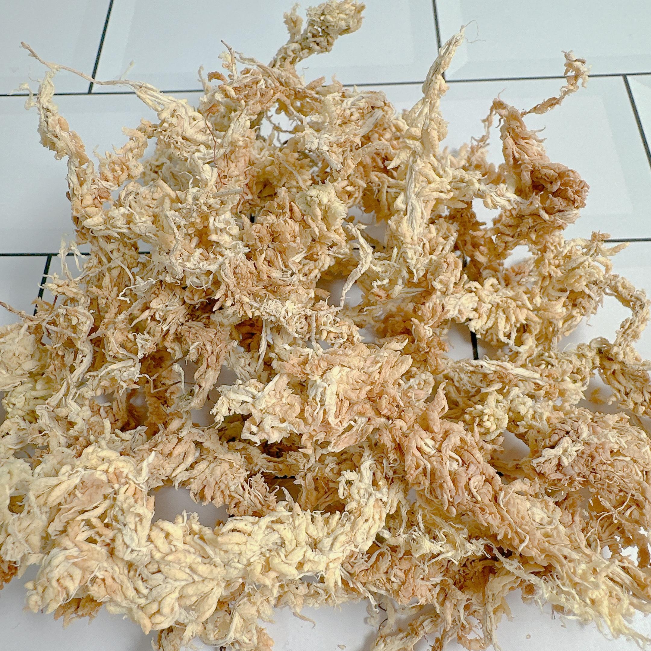 ニュージーランド産 5A 水苔 クレス 湿潤シェルター トカゲ クレス湿潤シェルター 乾燥水苔 産卵 床材 カタツムリ 20g