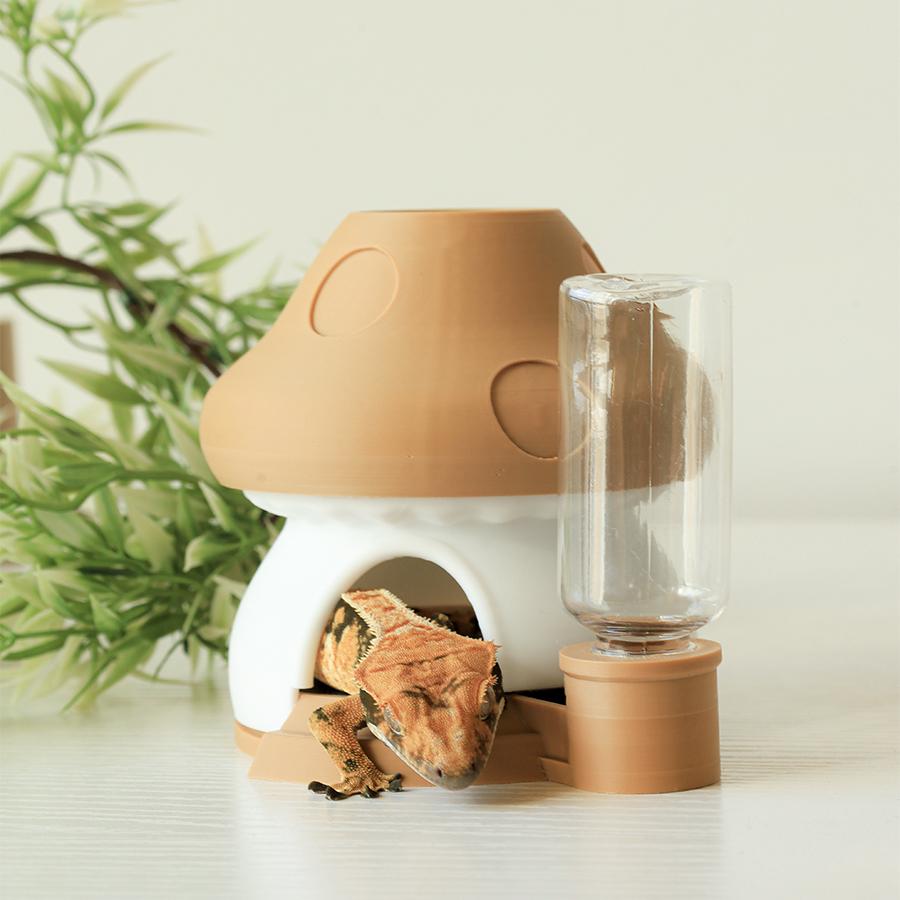 クレスティッドゲコ 飼育ケース キノコ 湿潤シェルター トカゲ クレス 中 カプチーノ