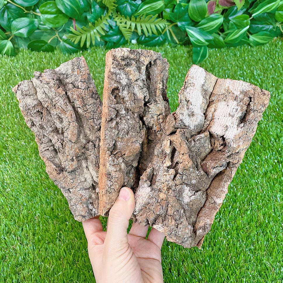 クレス バックアップ 樹皮 トカゲ 脱皮ボード コルクボード 木の皮 脱皮 サポート 15cm