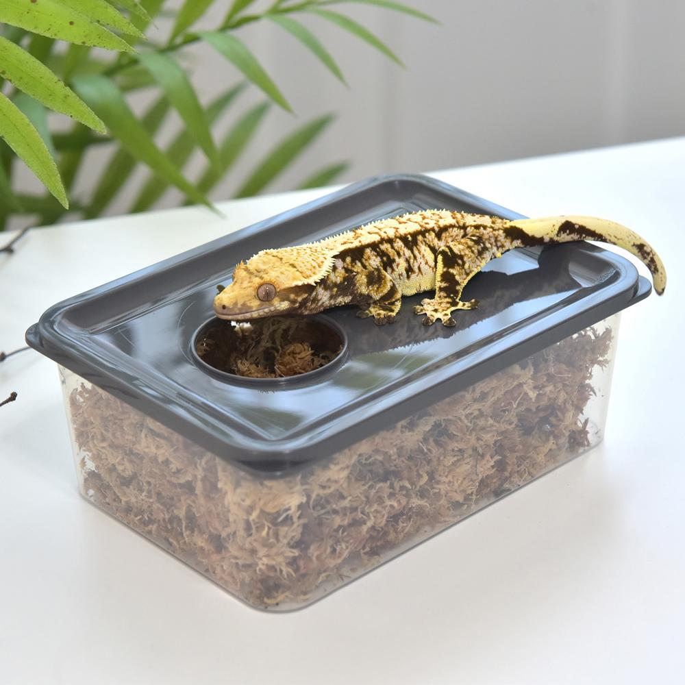 レパリス ゲッコー 湿潤ケージ 爬虫類 湿潤シェルター 爬虫類湿