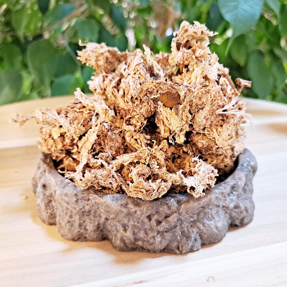 エコ 天然水苔 1L 爬虫類 湿潤シェルター 産卵 床材 ビバリウム 植物 装飾 クレスティッドゲッコー