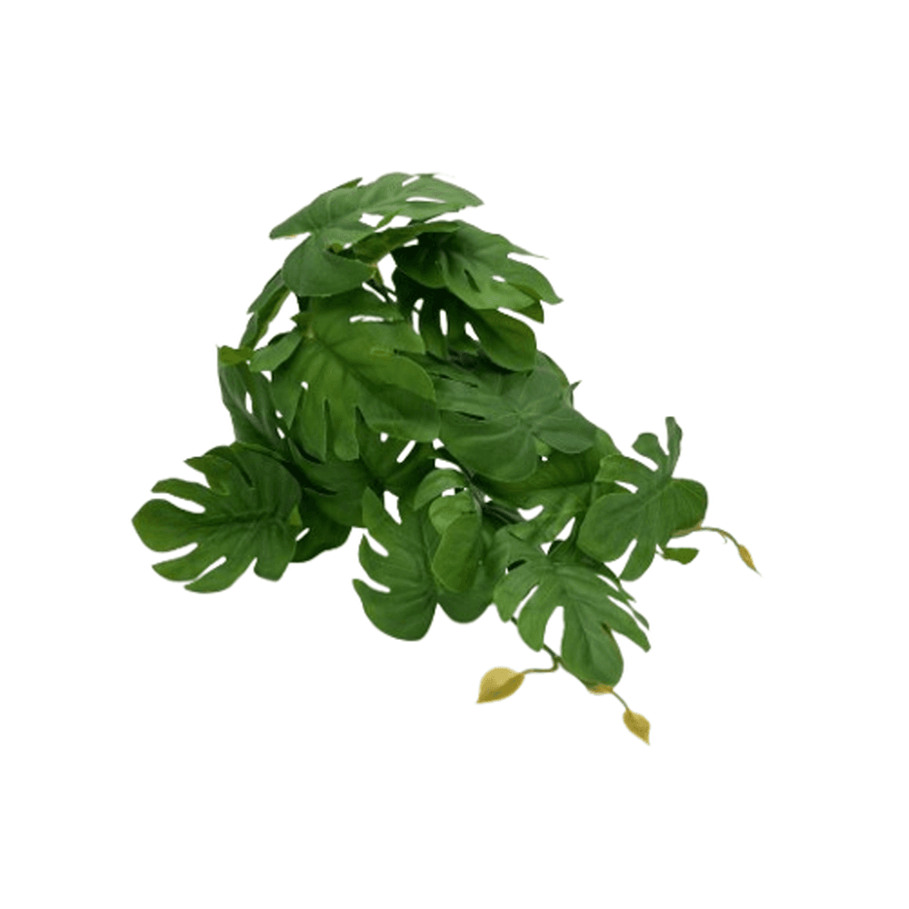 爬虫類 人工葉 植物 自然隠れ家 ビバリウム 貼り付け型人工植物 モンステラ