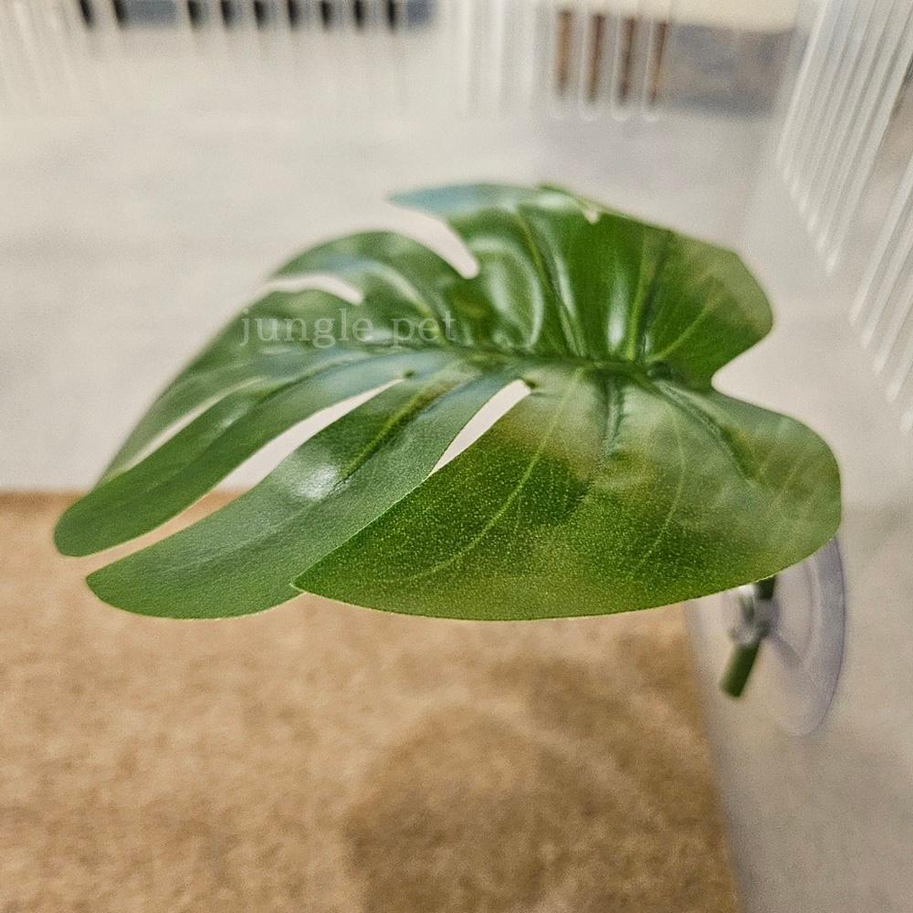 クレステッドゲッコー モンステラ 葉隠れ家 S