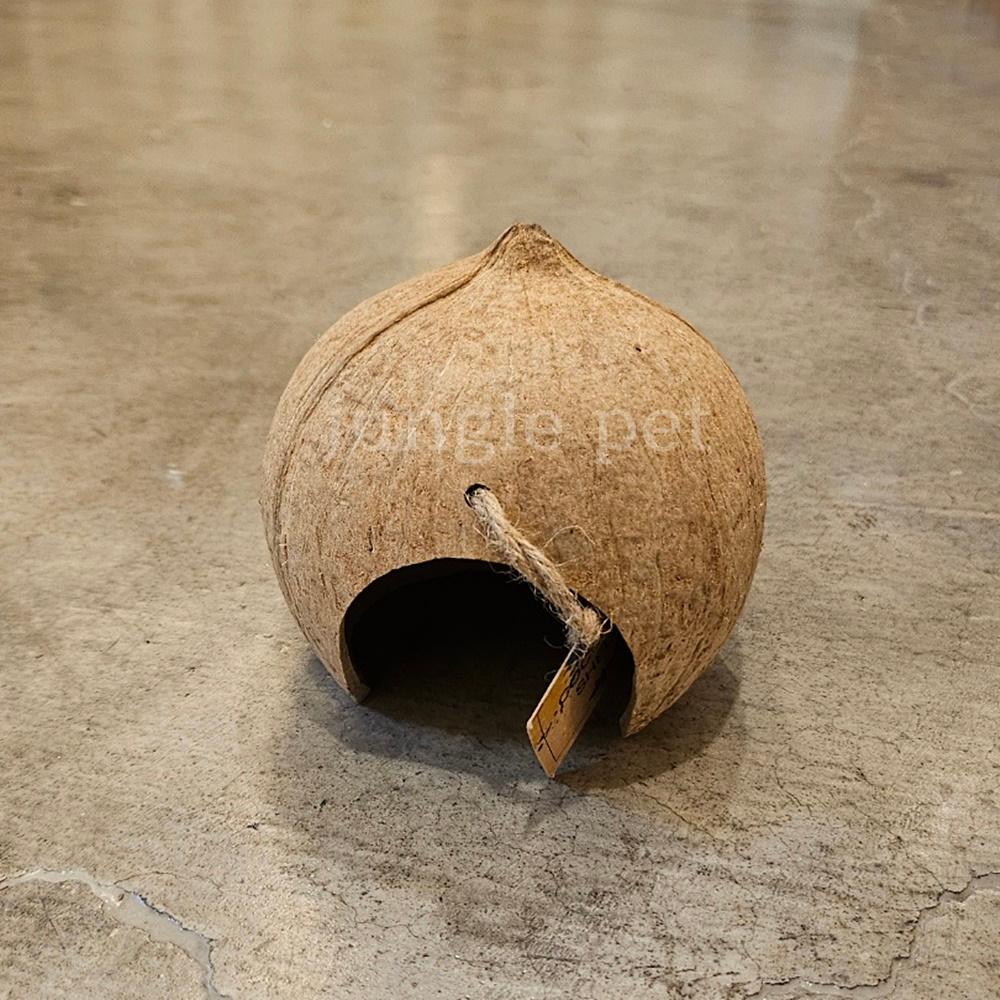 ココナッツ 隠れ家 サソリ トカゲ 隠れ家 S