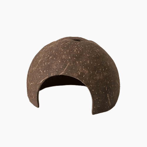 ココナッツ 隠れ家 爬虫類 トカゲ クレ 隠れ家