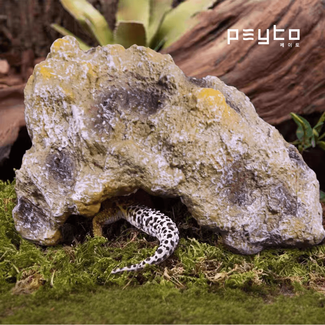 Peyto 天然洞窟タイプ 爬虫類 隠れ家 M ヤドカリ サソリ トカゲ