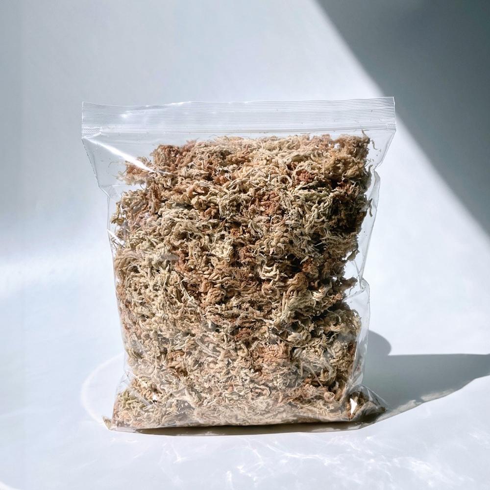 クレステッドゲッコー・トカゲ用ニュージーランド産 5A最高級水苔 爬虫類ウェット隠れ家・産卵ケース