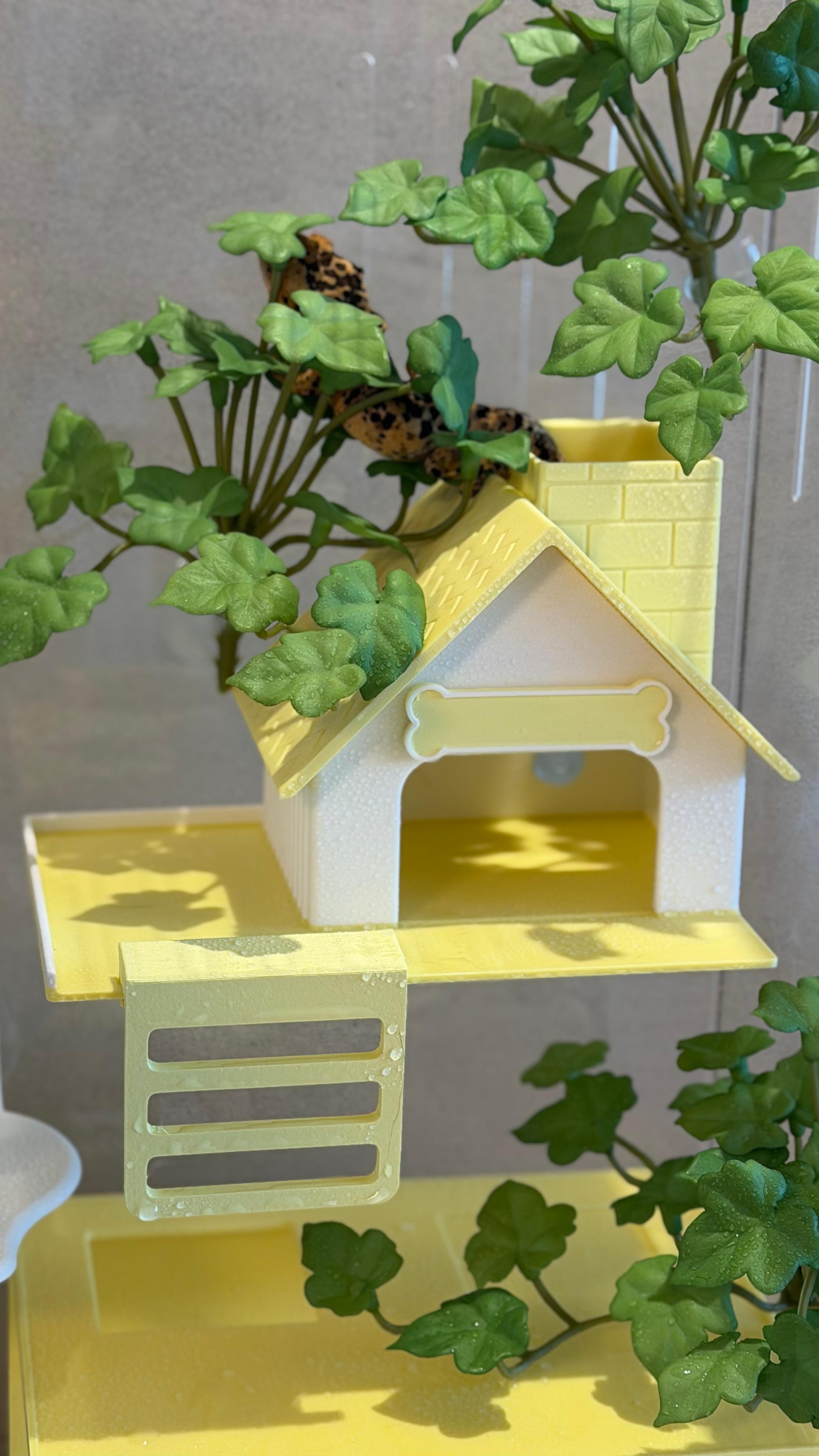 スカイラウンジ アクリル飼育ケージ トカゲ用品 飼育ケージ クレ隠れ家 クレステッドゲッコー・クレ 加工ハウス 5.7cm