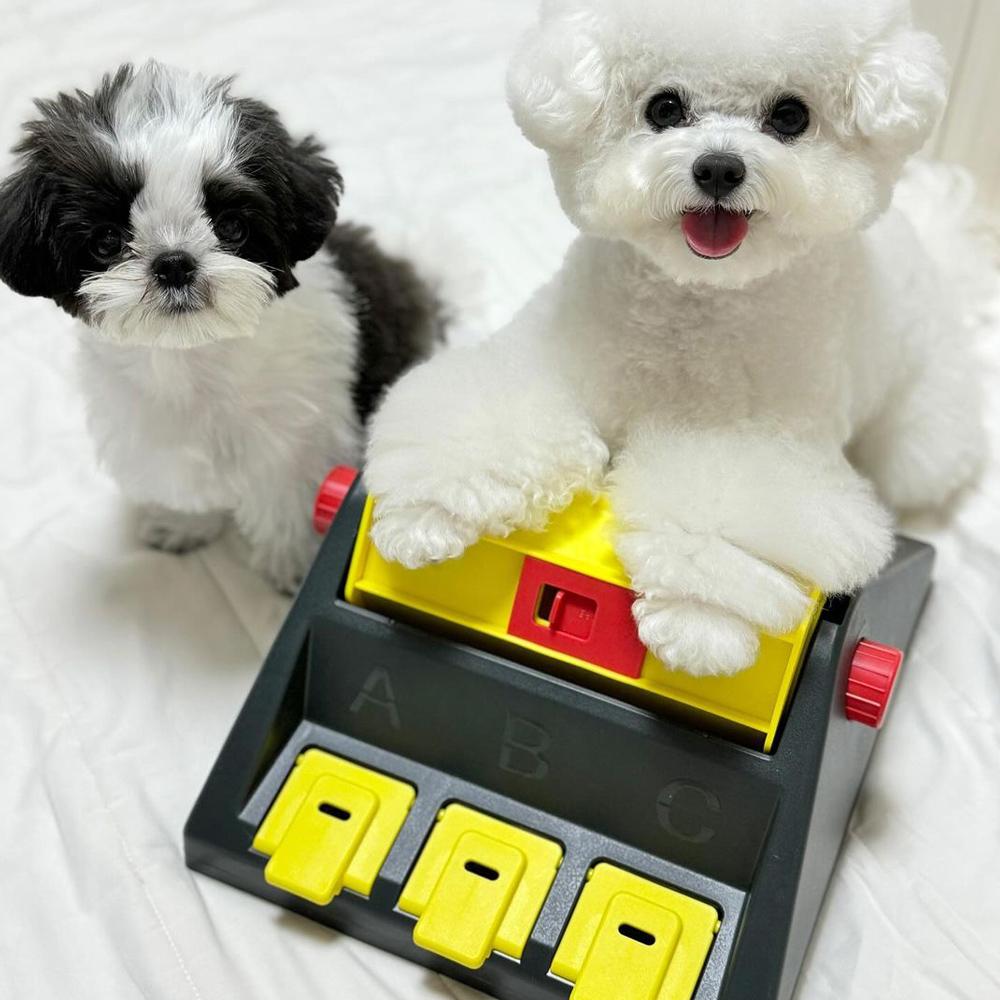 犬用ノーズワーク ステップアップパズル 犬用おもちゃ 難しい 長く遊べる トライアングルパズル (レベル4)