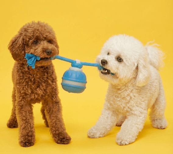 犬用動くボール 犬用噛むおもちゃ 歯固め 犬用ひっぱりっこ トイプードルおもちゃ 自動