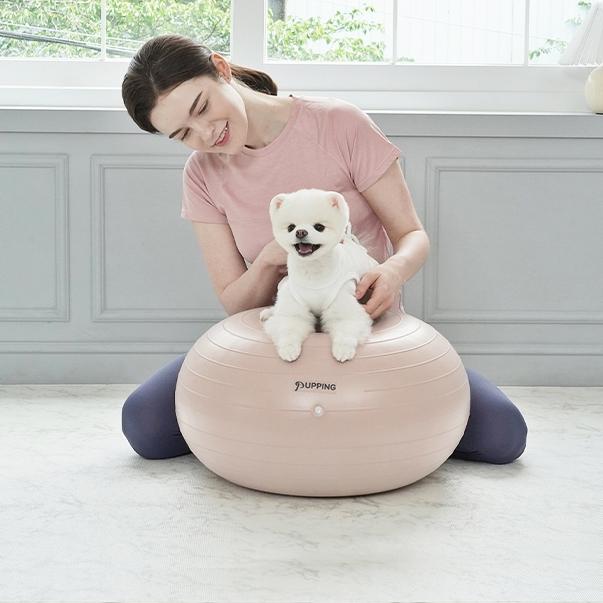 パフィング 犬用ジムボール 運動器具 バランスボール 単品