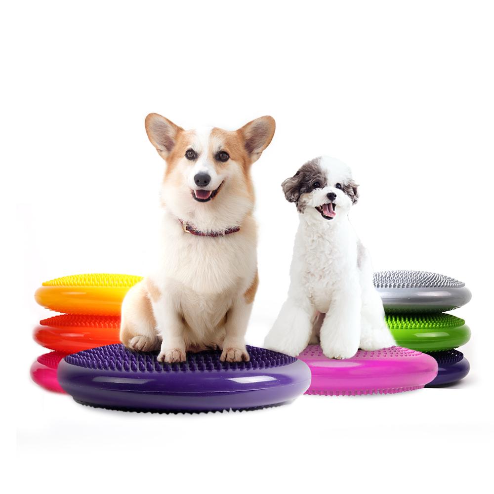 ベリエンペット 犬用膝蓋骨脱臼予防 バランスボール 光沢 1個