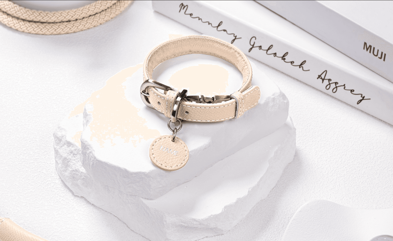 リンク 犬用リード 愛犬用リード 小型犬 中型犬 ワンタッチ装着 迷子札 リードセット