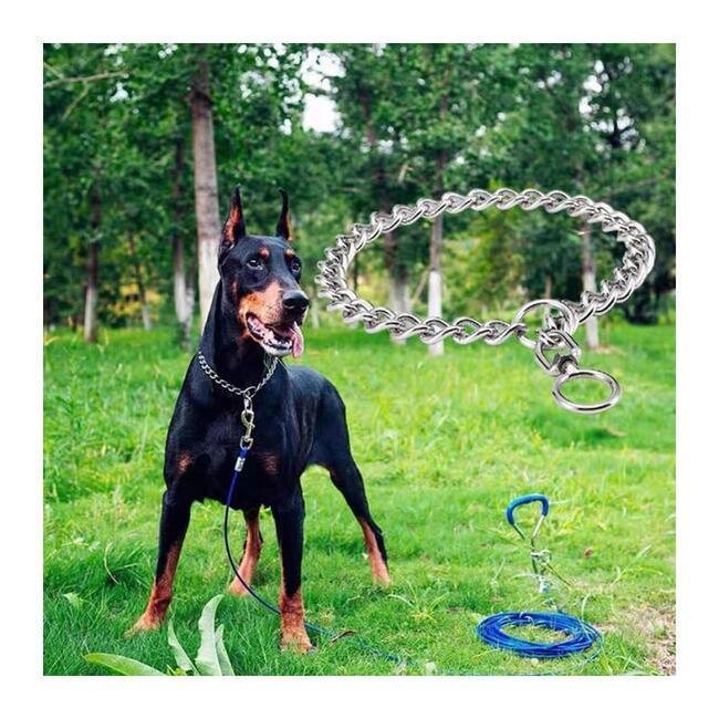 犬用リード チョークチェーン 愛犬用チェーンリード 散歩 3.0mmx50cm Q75444