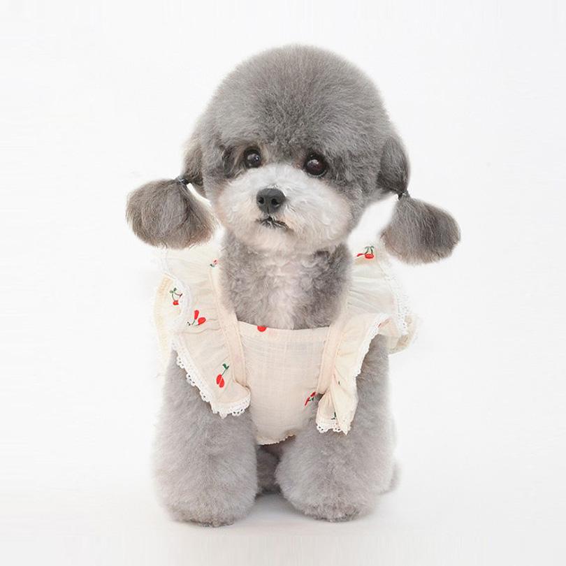 チェリーフリル 犬用ワンピース 春夏服 愛犬 タンクトップ レースドレス 犬服