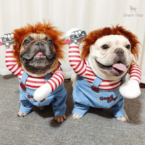 犬用チャッキー服 猫 コスプレコスチューム ハロウィン パーティー 面白い服 衣装 チャッキー 愛犬衣類 S