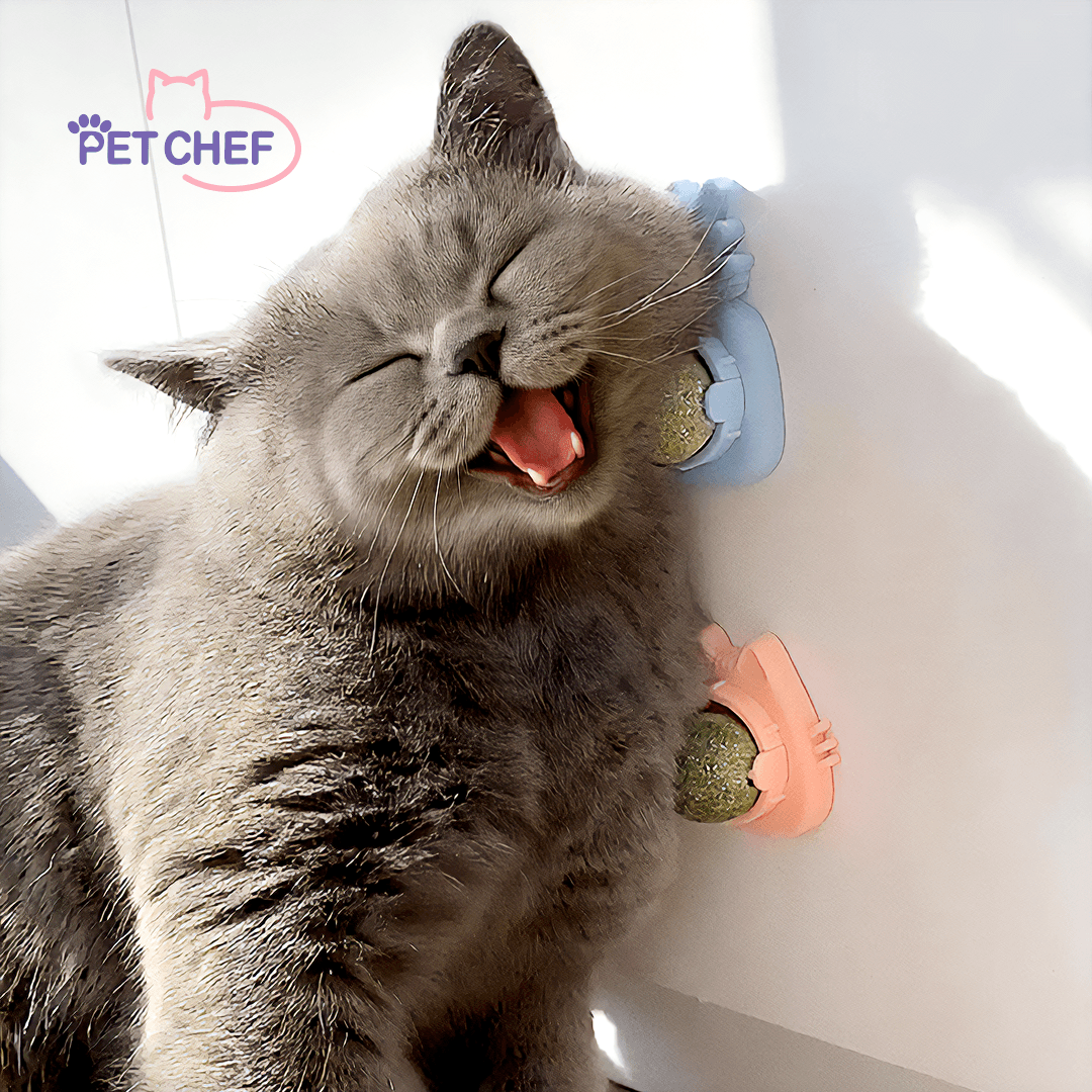 PET CHEF 猫用 またたび / マタタビ / 猫草 おもちゃ [3個]