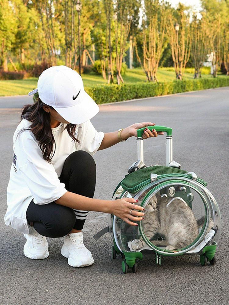 透明キャリーバッグ ペットキャリーバッグ 猫用外出用 犬散歩用 ケネル バスケット