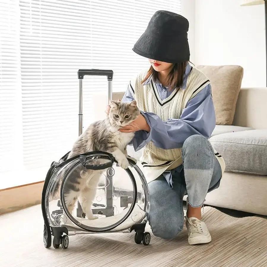 透明キャリー ペットキャリー バスケット 犬用カプセル ペット用トラベルバッグ