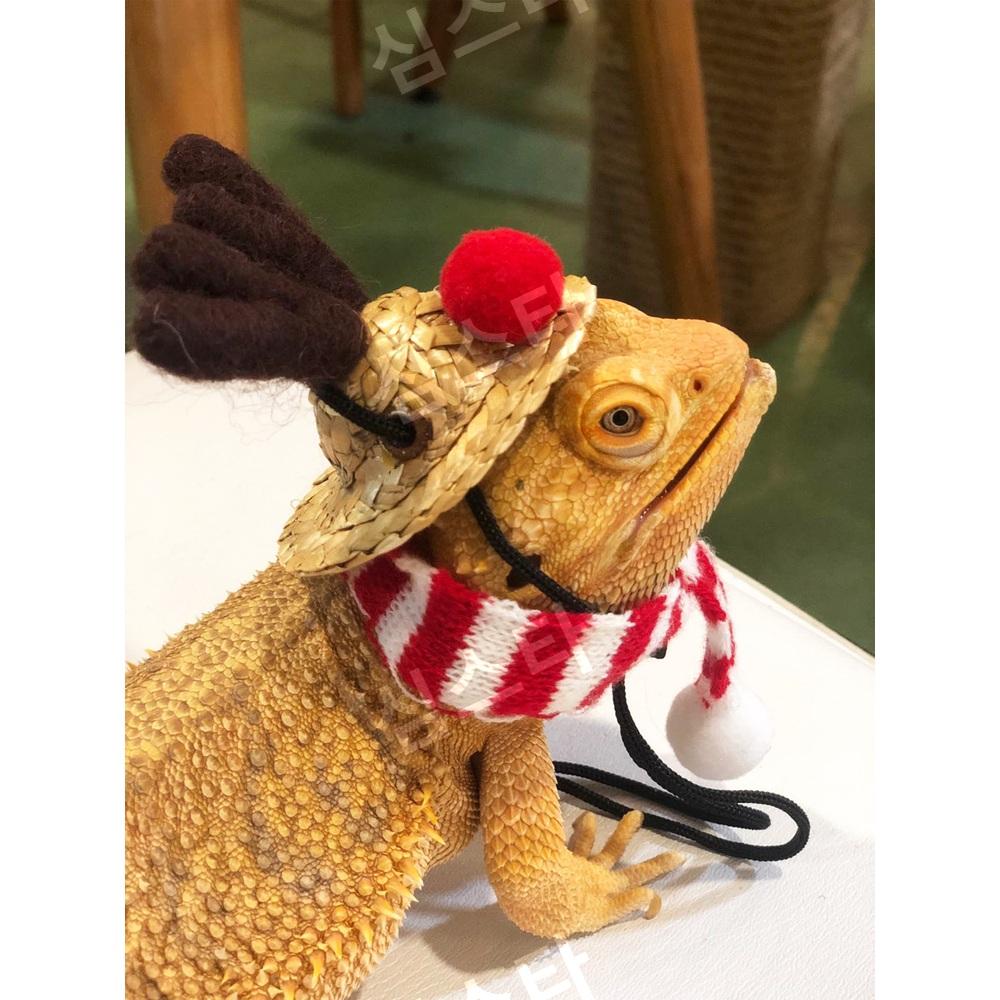 トカゲ クリスマス コスチューム 服 セット ペット用 爬虫類 コスプレ サンタ